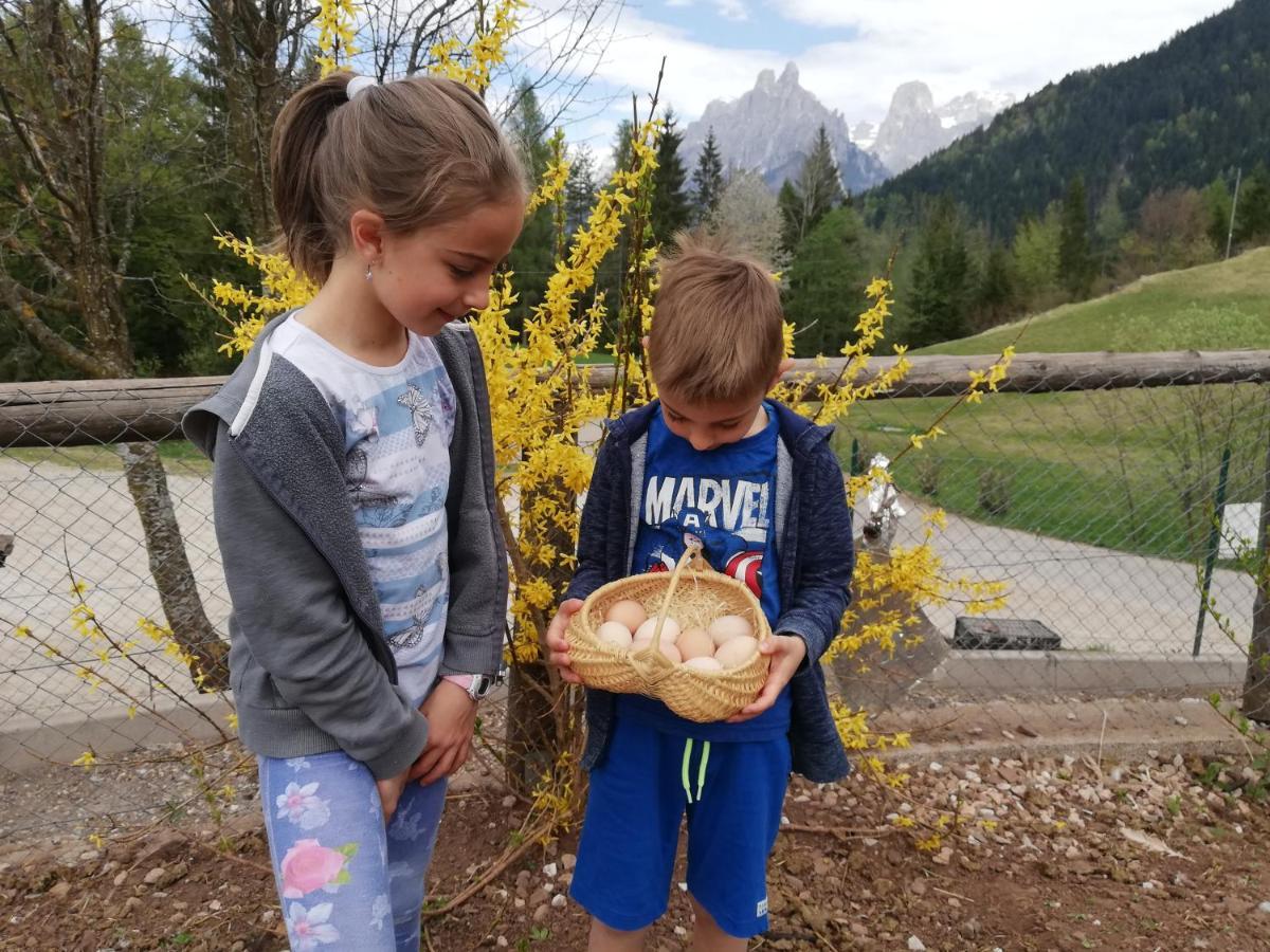 Agritur Le Vale Villa Fiera Di Primiero Buitenkant foto