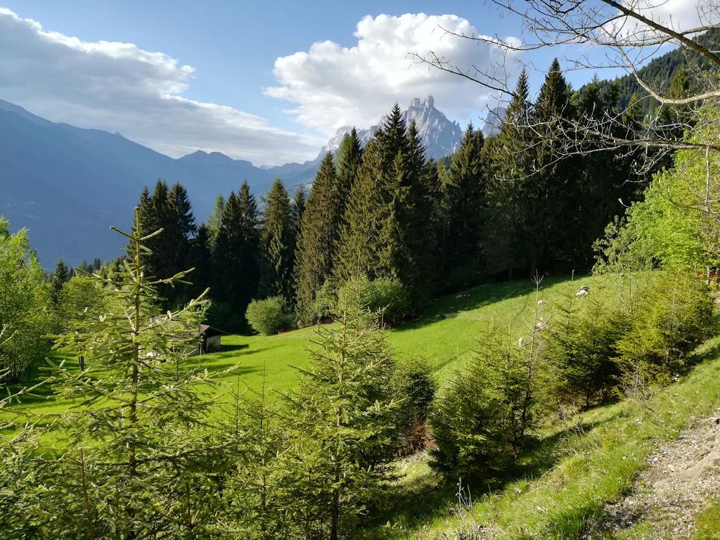 Agritur Le Vale Villa Fiera Di Primiero Buitenkant foto