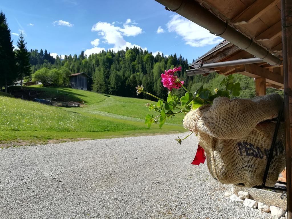 Agritur Le Vale Villa Fiera Di Primiero Buitenkant foto